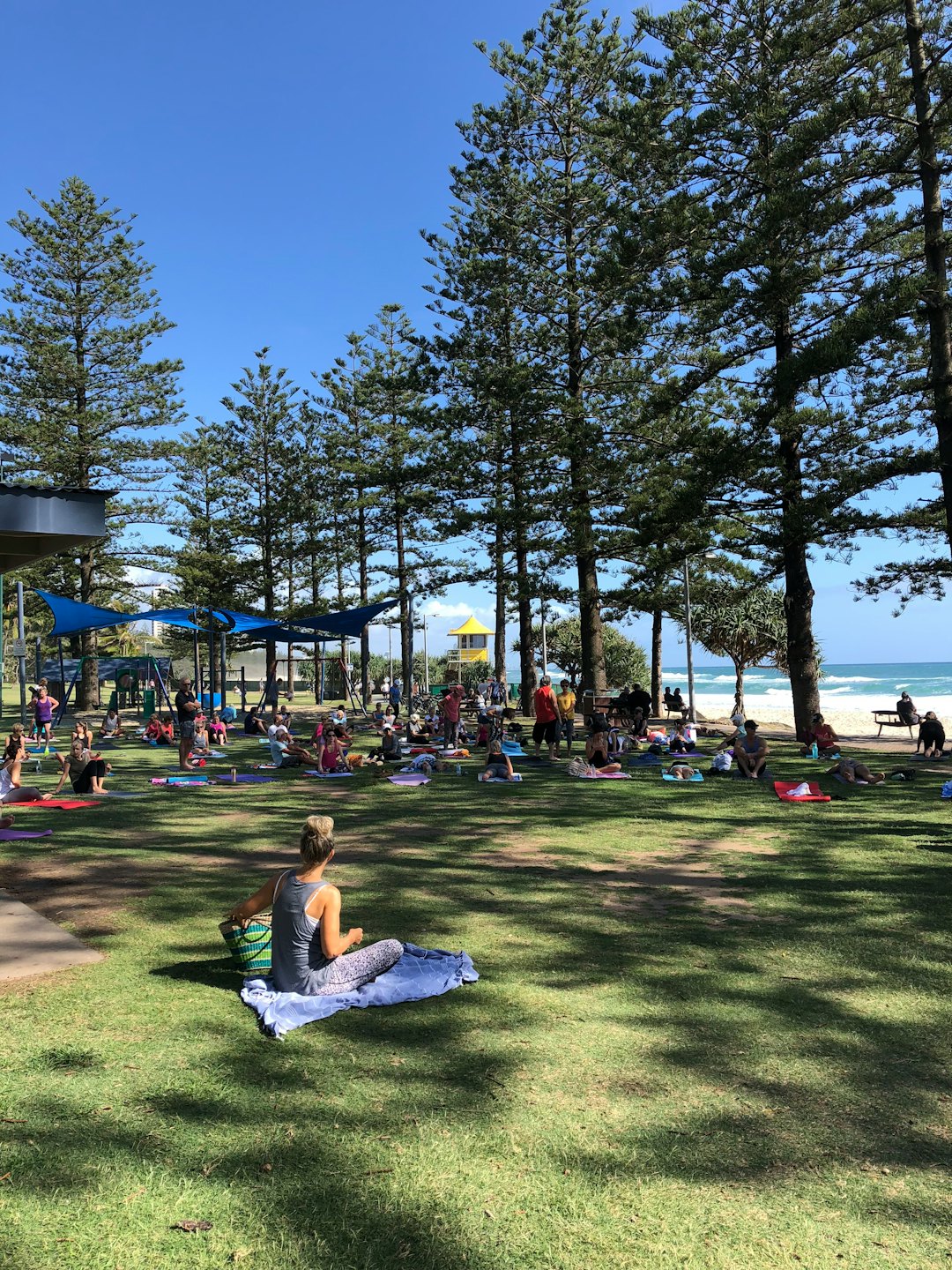 People practice yoga on mats in a grassy coastal park.