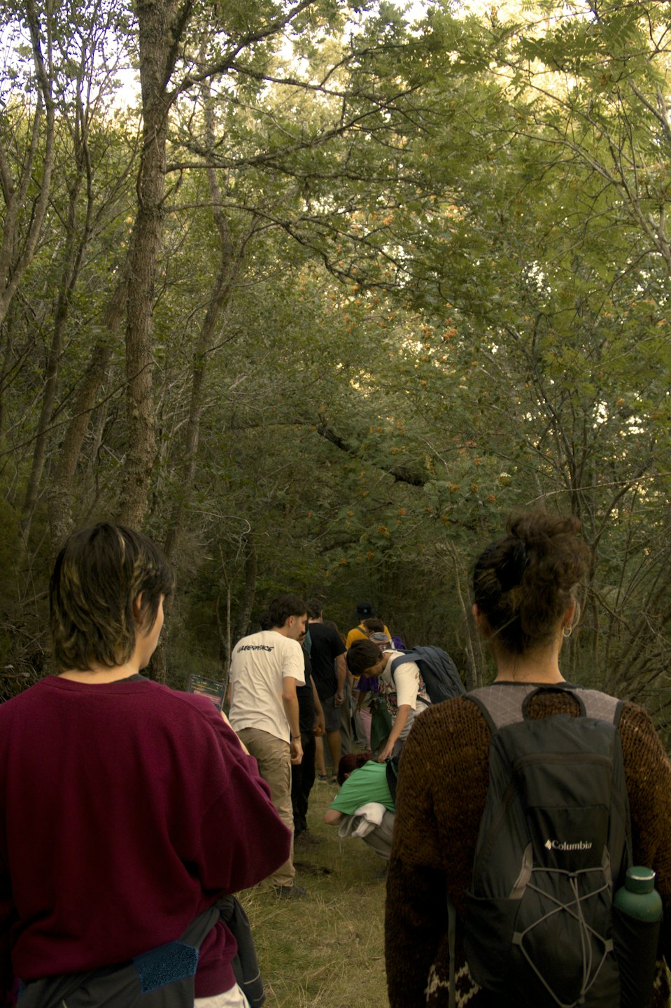 A group walks single file along a dirt forest path.