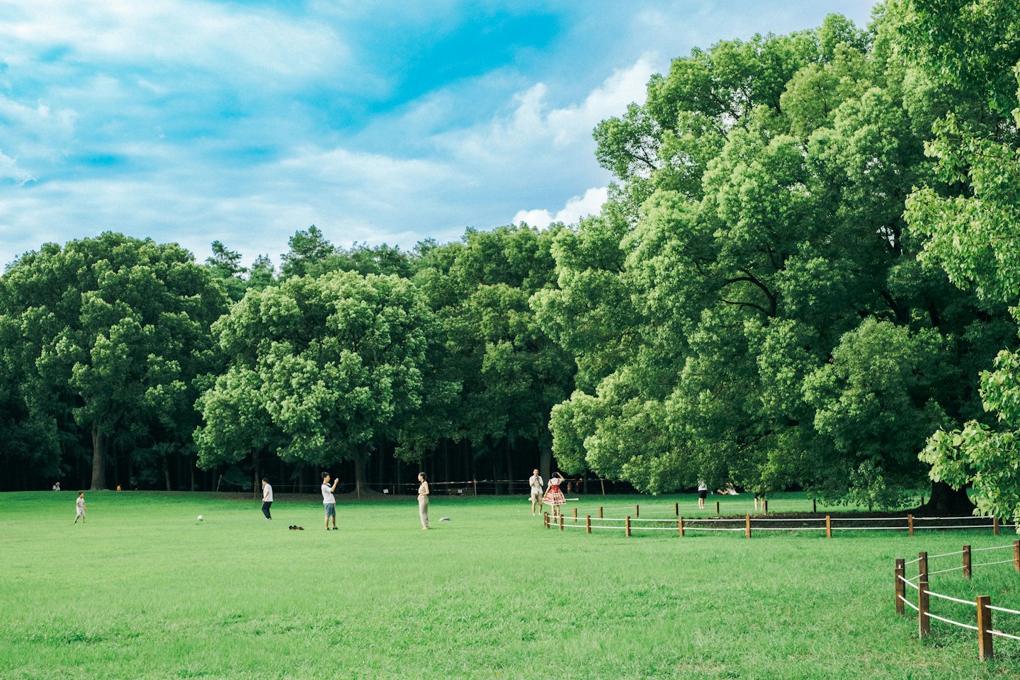 People play soccer on a sunny green park field.